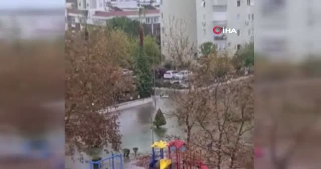 Antalya’dan hem şaşırtan hem güldüren görüntüler