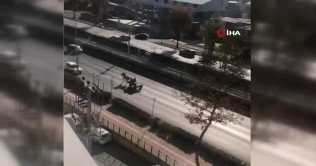Bursa'da at arabalı hırsız dehşet saçtı