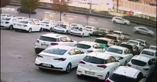 Bursa'da yola atlayan kedi zincirleme kazaya neden oldu