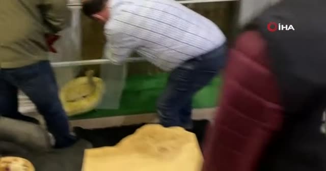 İstanbul’un göbeğinde “piton” operasyonu kamerada
