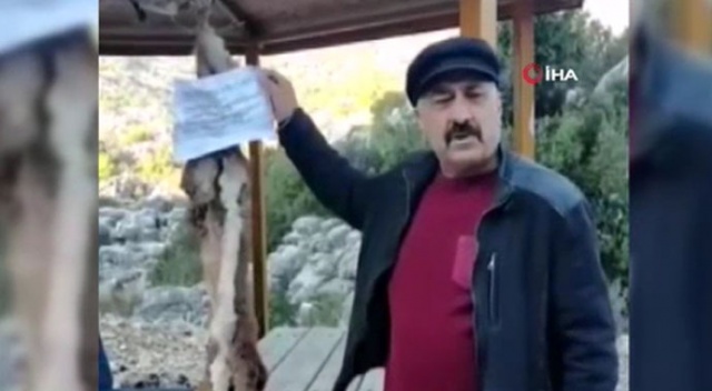 Kaçak geyik avcılarını ihbar eden muhtara, kafası kesilip derisi yüzülmüş dağ keçisi üzerinden tehdit
