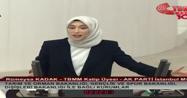 Rümeysa Kadak'tan CHP'ye tecavüz sessizliği tepkisi