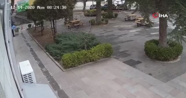 Sürüden kaçan keçi ve koyunlar Nevşehir Belediyesi'ni bastı