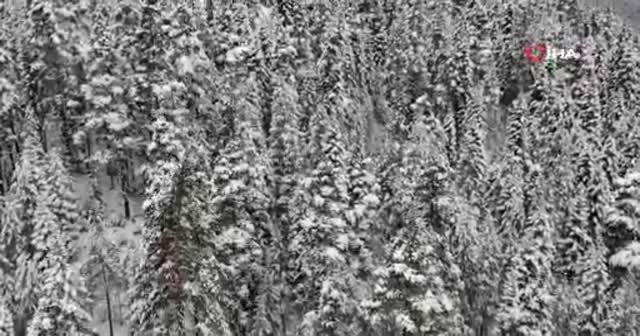Anadolu’nun yüce dağı Ilgaz'dan muhteşem kar manzaraları