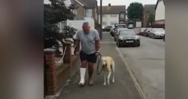 Ayağı kırılınca köpeği de topallamaya başladı