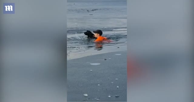 Donmuş göle atlayarak mahsur kalan köpeği kurtardı
