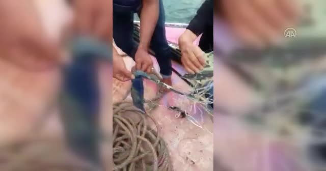 Endonezya'da irtibatın kesildiği yolcu uçağının denize düştüğü açıklandı