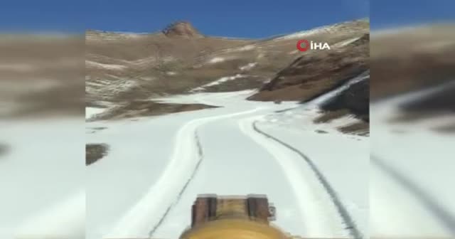 Hakkari’de kafası tenekeye sıkışan ayı kurtarıldı