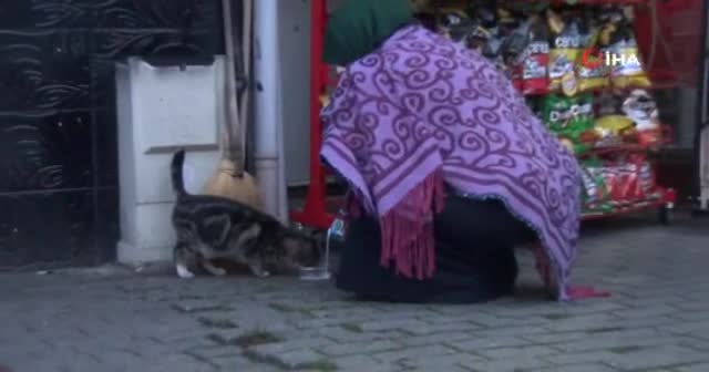 Soğuk havada iç ısıtan görüntü