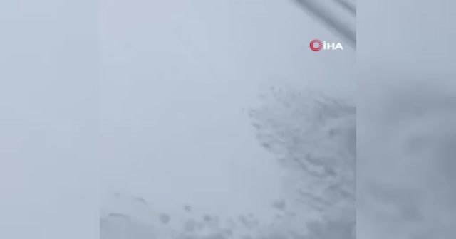 ABD'de çığın düşüş anı kamerada