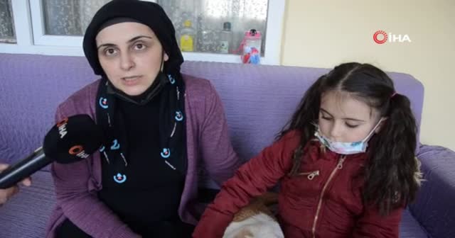 Köpeğini veterinere götürmek için 2,5 km yürüdü