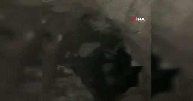 Ankara’da definecilere polis baskını: 10 gözaltı