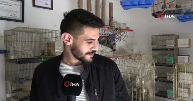 Bu papağan insan gibi su içiyor, müzik duyunca oynuyor