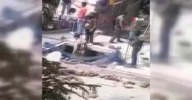 Hindistan'da şehre inen leopar 5 kişiyi yaraladı