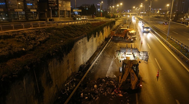 İBB’den İstanbul’un dikey ‘bahçelerine’ gece yarısı operasyonu