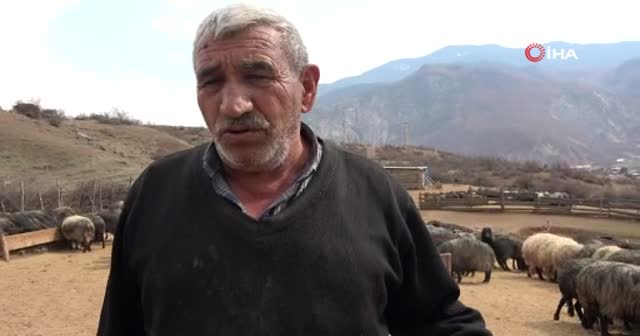 Kuzuların anneleriyle buluşma anı renkli görüntülere sahne oldu