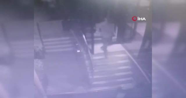 Pitbullla fabrika bekçisine dehşeti yaşattılar