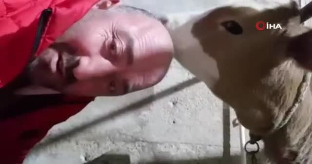 Saçı olmayan Karadenizlinin ilginç çözümü