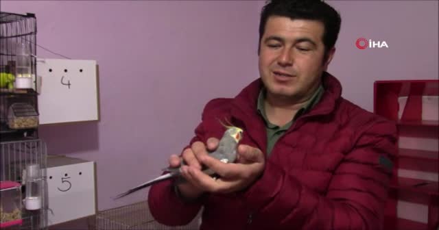 Her sabah papağanın söylediği 'Ölürüm Türkiye’m' parçasıyla kalkıyorlar