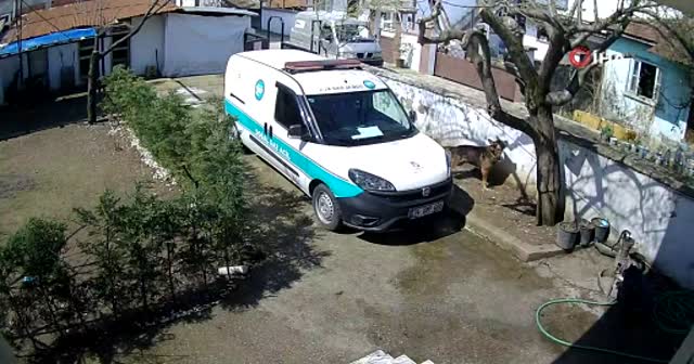 Sakarya’da trajikomik olay