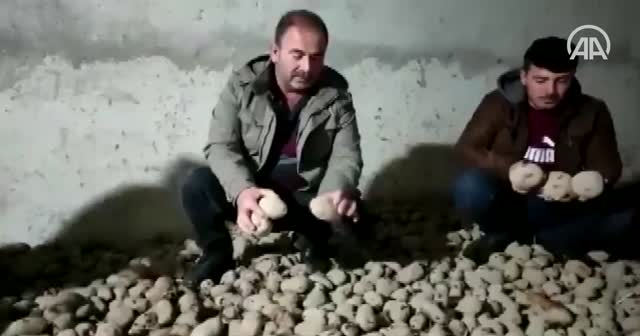 TMO'nun ürün alımına sevinen çiftçiler Cumhurbaşkanı Erdoğan'a sosyal medyadan teşekkür etti