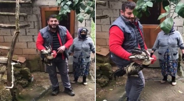 Trabzon’da 'Anne' diye bağıran horoz kesilmekten kurtuldu