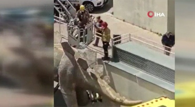 Dinozor heykelinin içinden ceset çıktı