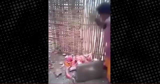 Hindistan'da putları kırmaya başladılar