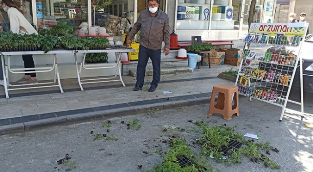 İsrail'in tohum ve fidelerini yerlere saçarak, tepki gösterdiler