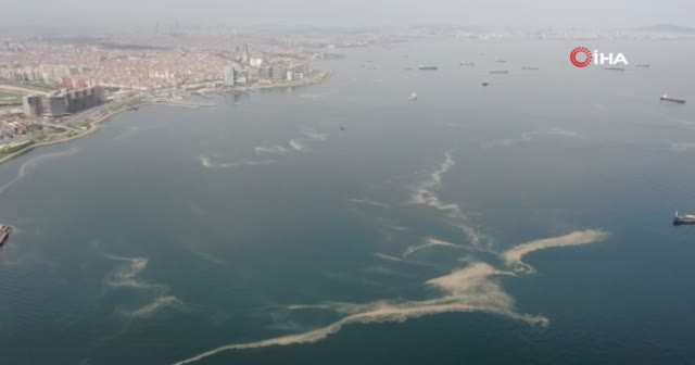 İstanbul sahilleri deniz salyasıyla doldu