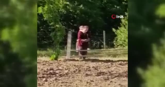 Yaramaz torun namaz kılan dedesine rahat vermedi