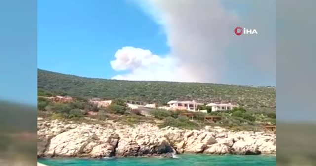3 mahallede yangın çıktı: 55 dönüm alan kül oldu