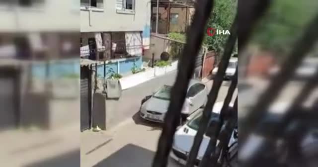 Adana'da kurbanlık keçi çatıdan düştü