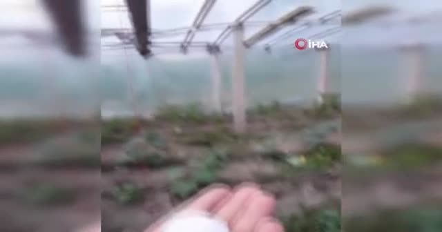 Amasya'da yumurta büyüklüğünde dolu yağdı