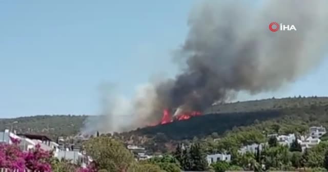 Bodrum'da korkutan yangın