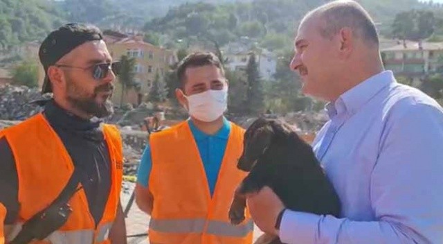 Anne köpek yönlendirdi, yavru köpek kurtuldu! Adını Bakan Soylu verdi