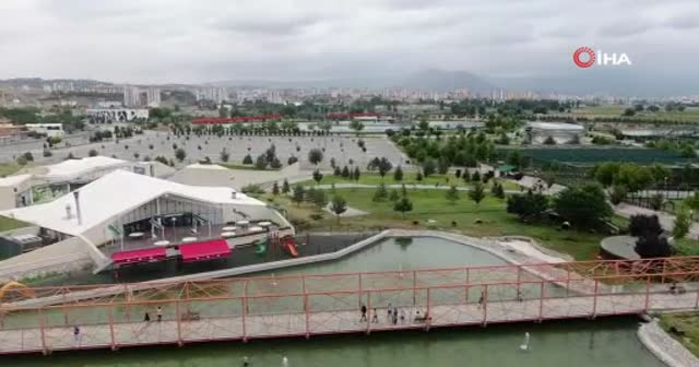 Ayıların drone ile imtihanı! Görüntüler gülümsetti