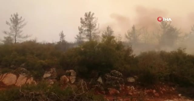 Bodrum'da yangın büyüyor! Alevler evlere sıçradı