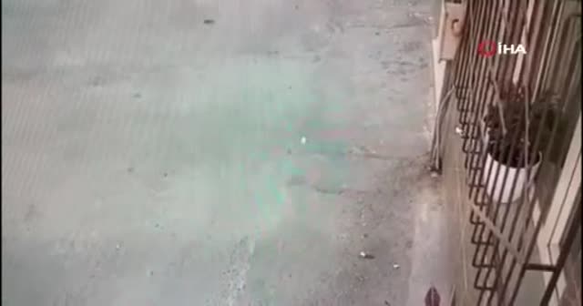 Camdaki çiçeği saksıdan çalan kadın kamerada
