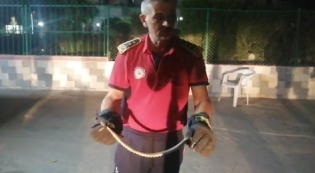 Eve giren yılan korku dolu anlar yaşattı!