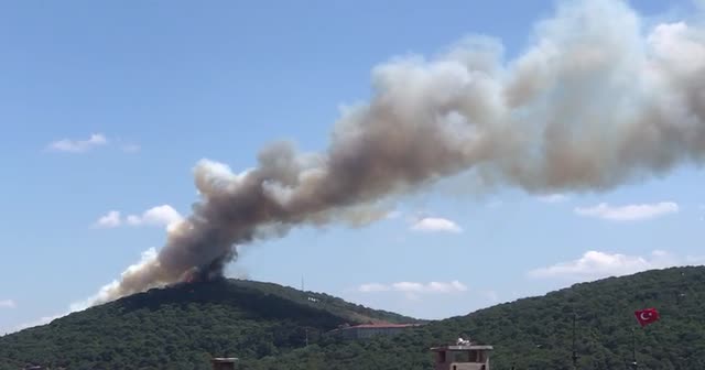 Heybeliada'da orman yangını