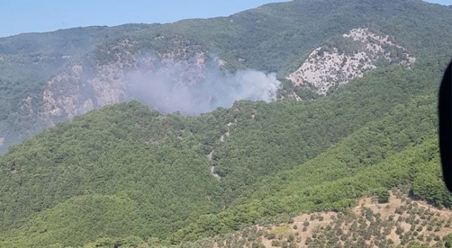 Kazdağların’da orman yangını! Ekipler müdahale ediyor