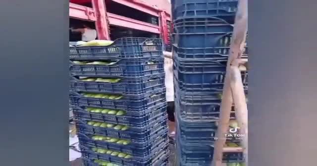 Skandal görüntüler sonrası bakanlık hareket geçti