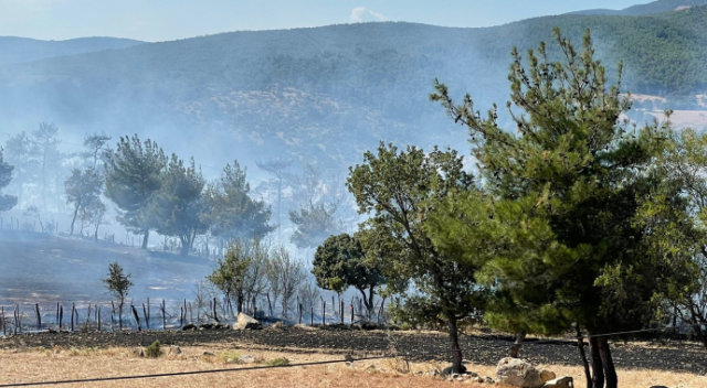 Çanakkale'de orman yangını! Havadan müdahale ediliyor