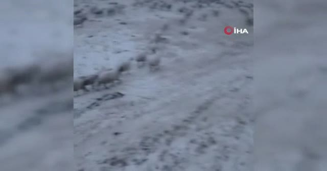 Eylül'de kar sürprizi! Kar ve tipi bir anda bastırdı