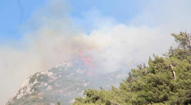 Hatay'da orman yangını! Havadan ve karadan müdahale ediyor