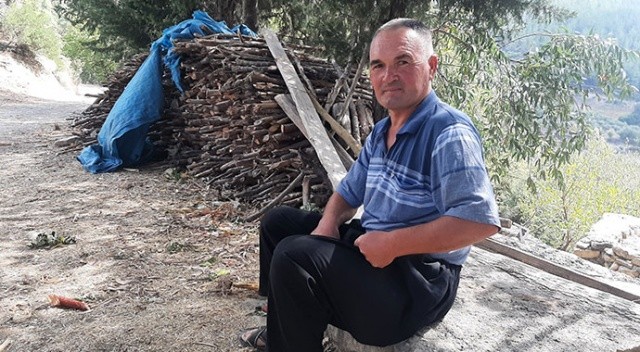 Tilki ile çobanın şaşırtan dostluğu! Sosyal medyada gündem oldu