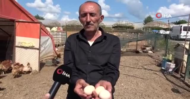 Yumurtanın tazeliğini saptamak için görülmemiş yöntem