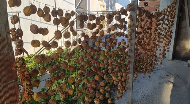 Çaldığı hurmaları satmak yerine evine götürüp işledi! Hevesi kursağında kaldı