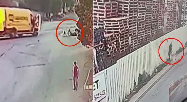 Esenyurt’ta köpekler dehşet saçtı: 1'i ağır  2 yaralı